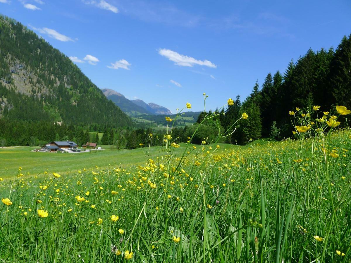 Alpenhaus Dachstein.Zauber Apartment Abtenau Exterior foto