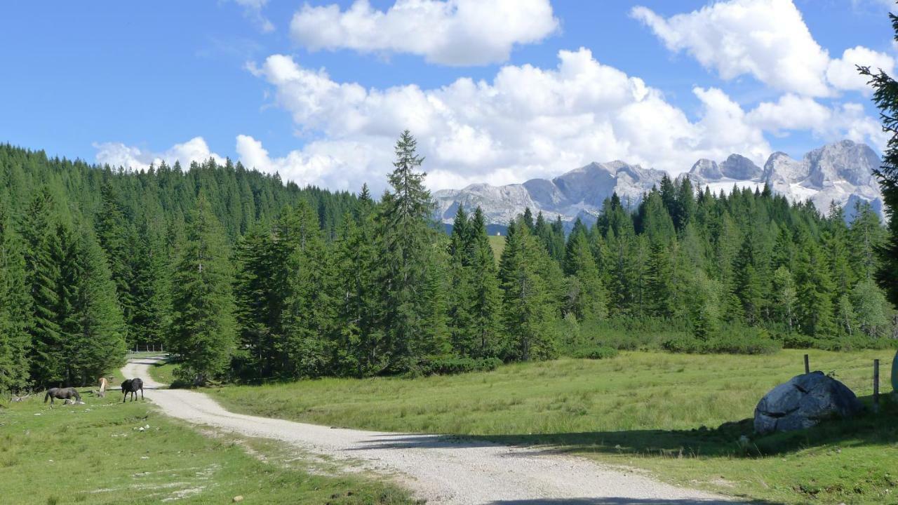 Alpenhaus Dachstein.Zauber Apartment Abtenau Exterior foto