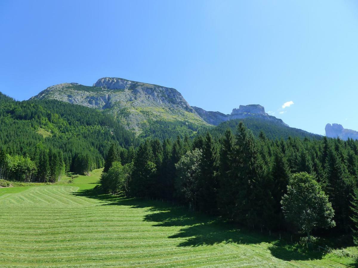 Alpenhaus Dachstein.Zauber Apartment Abtenau Exterior foto