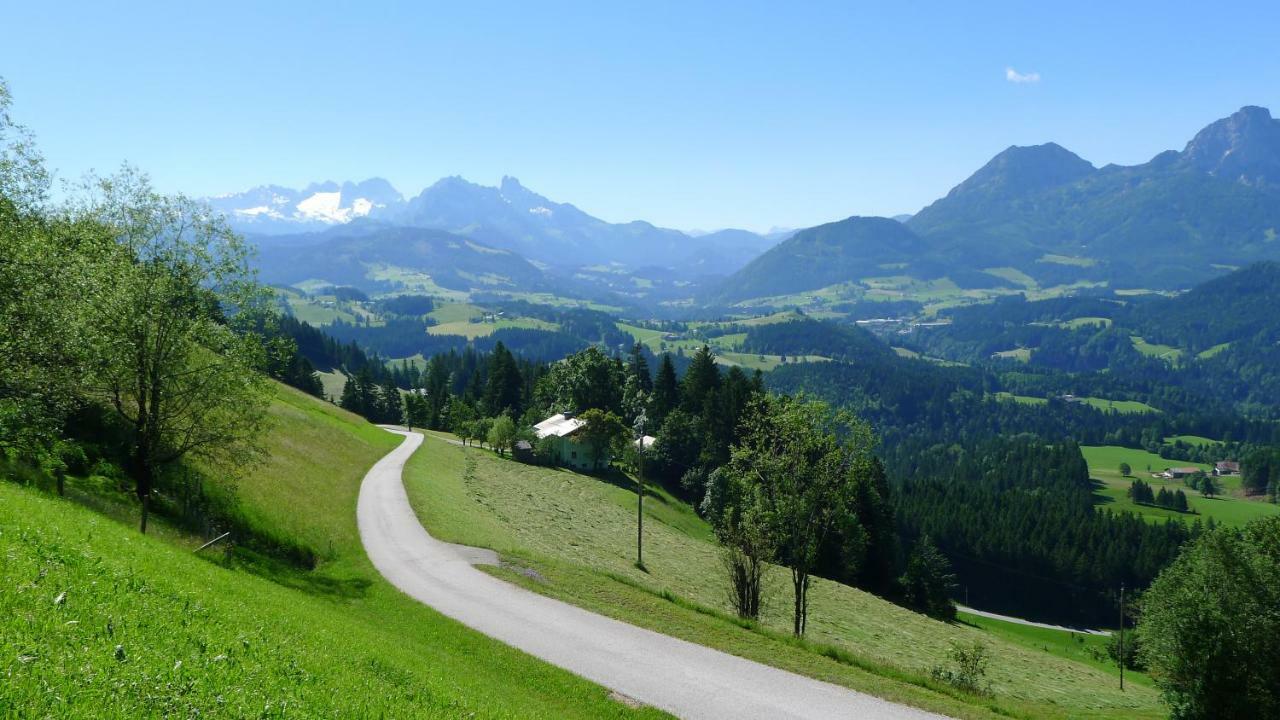 Alpenhaus Dachstein.Zauber Apartment Abtenau Exterior foto