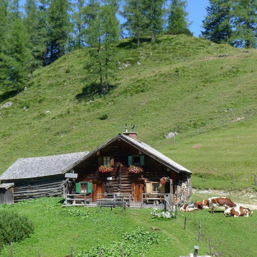 Alpenhaus Dachstein.Zauber Apartment Abtenau Exterior foto