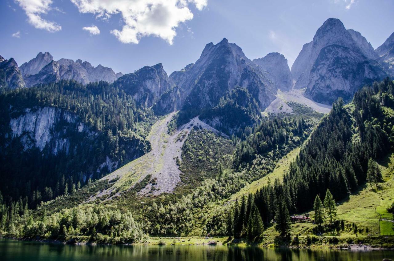 Alpenhaus Dachstein.Zauber Apartment Abtenau Exterior foto