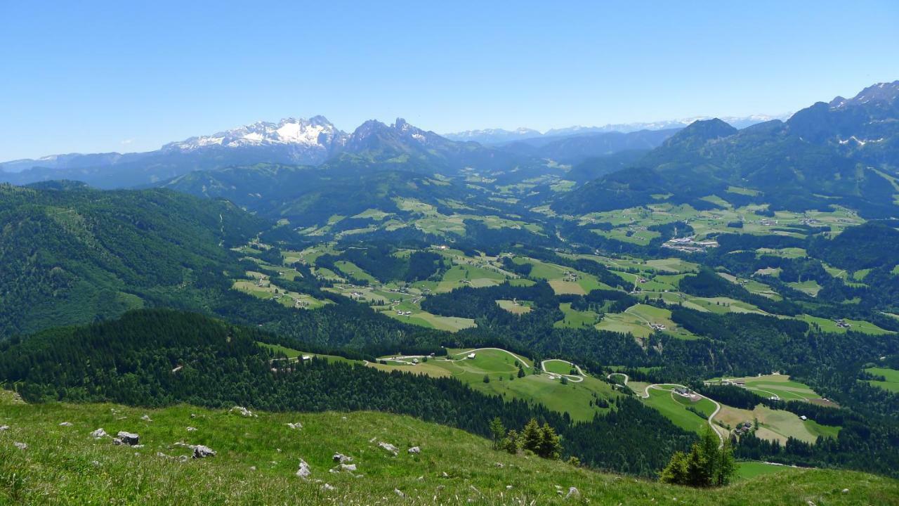 Alpenhaus Dachstein.Zauber Apartment Abtenau Exterior foto