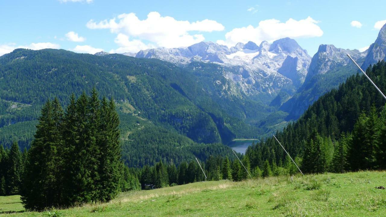 Alpenhaus Dachstein.Zauber Apartment Abtenau Exterior foto