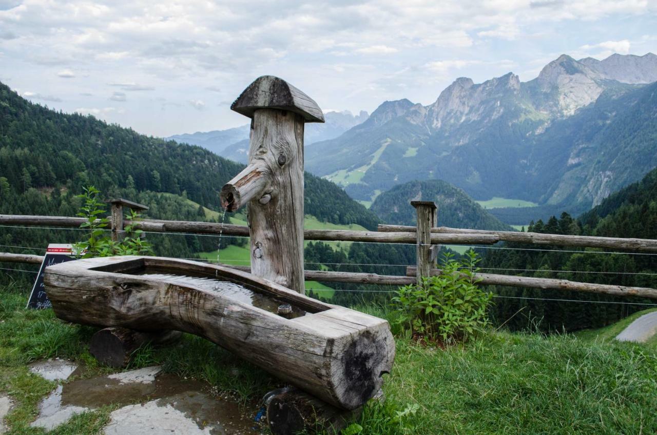 Alpenhaus Dachstein.Zauber Apartment Abtenau Exterior foto