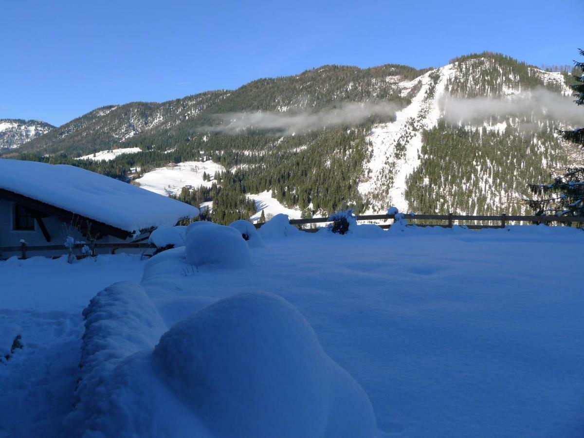 Alpenhaus Dachstein.Zauber Apartment Abtenau Exterior foto