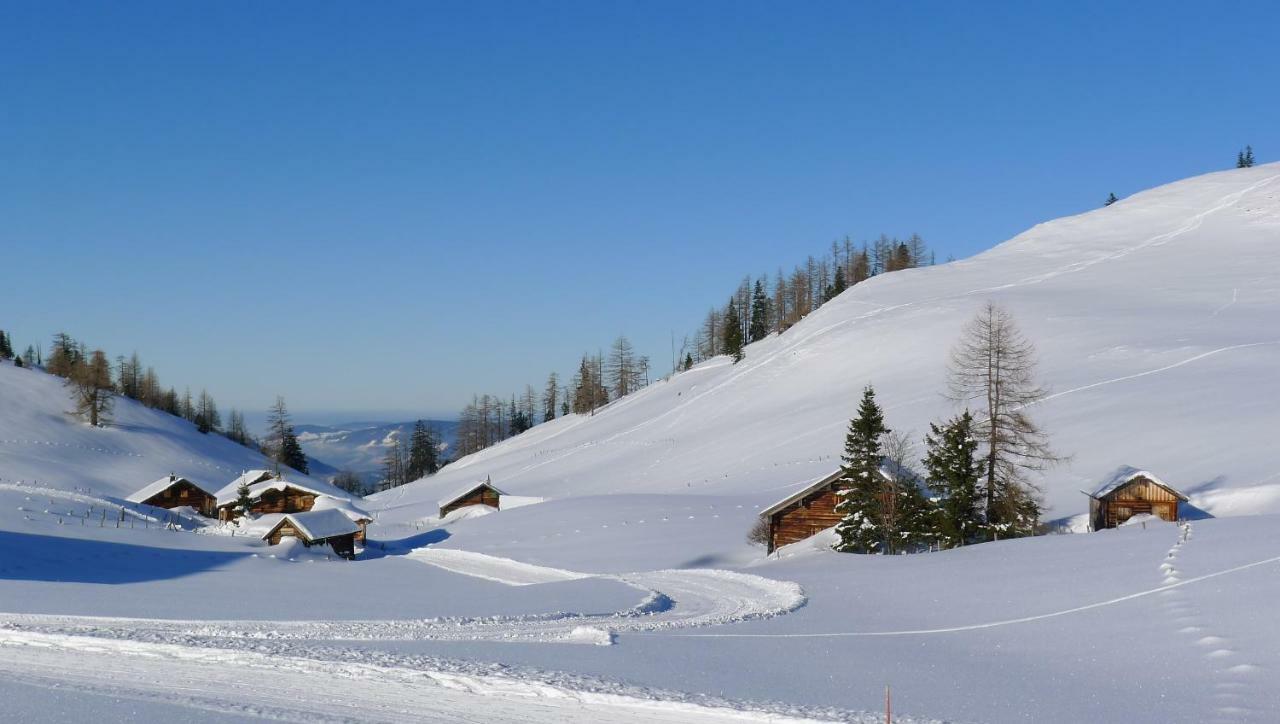 Alpenhaus Dachstein.Zauber Apartment Abtenau Exterior foto