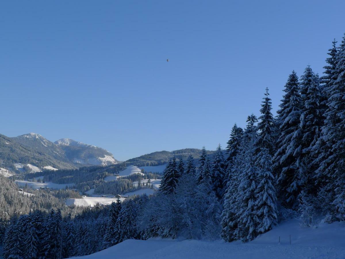 Alpenhaus Dachstein.Zauber Apartment Abtenau Exterior foto