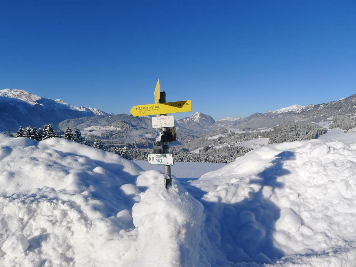 Alpenhaus Dachstein.Zauber Apartment Abtenau Exterior foto